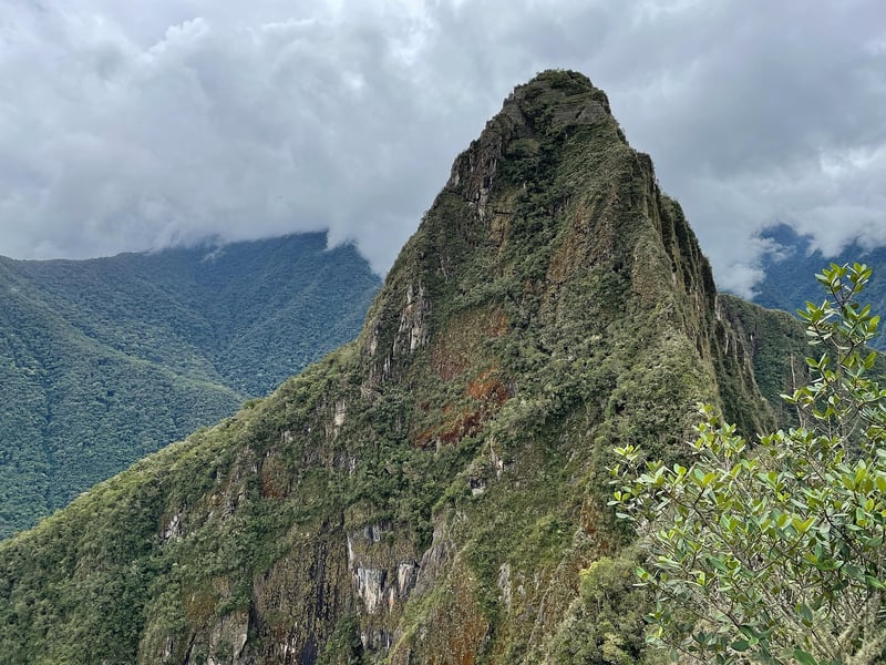 Cultural Immersion Trip to South America
